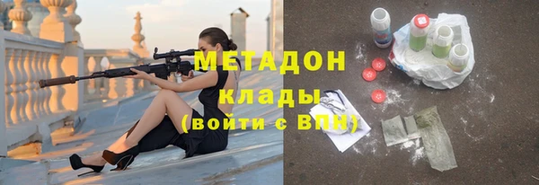 индика Алзамай