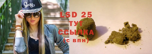 индика Алзамай
