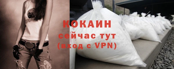 крисы Абаза