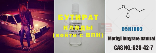 индика Алзамай