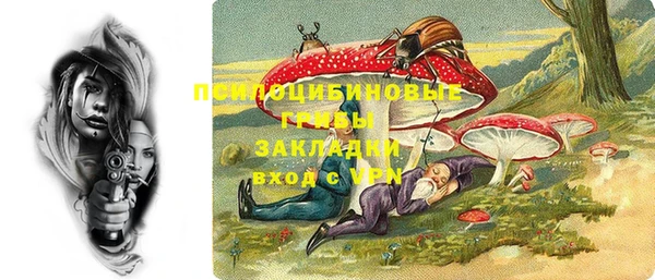 индика Алзамай