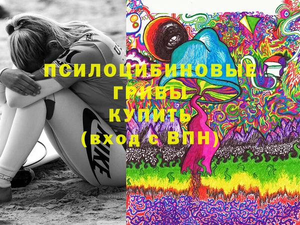 кокс Алексин
