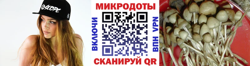 Псилоцибиновые грибы прущие грибы  сколько стоит  Нижняя Салда 